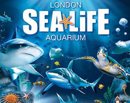 Sea Life London Aquarium